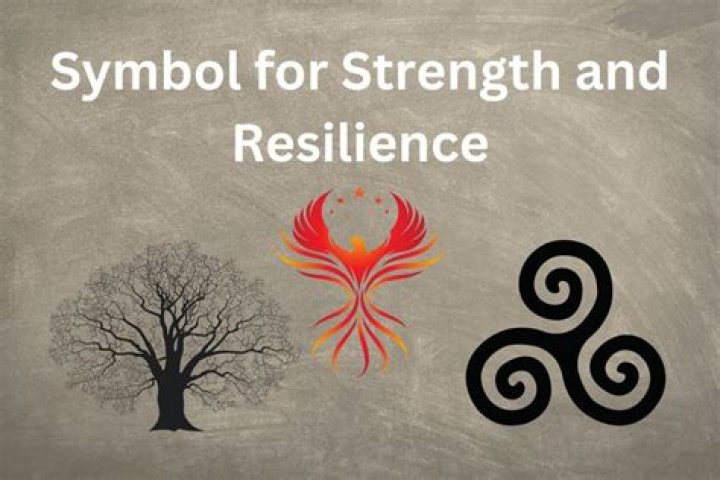 A Journey Of Strength And Aesthetics
