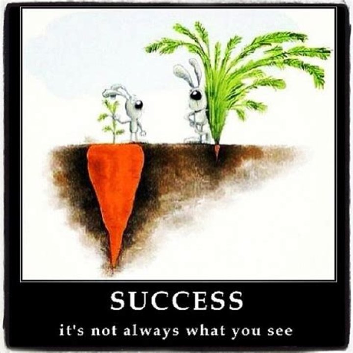 A Journey Of Success And Humor