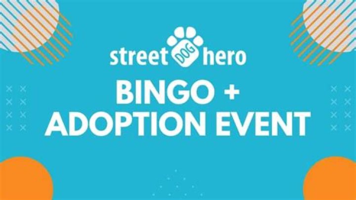 Bingo Adoption And Its Surprising Impact