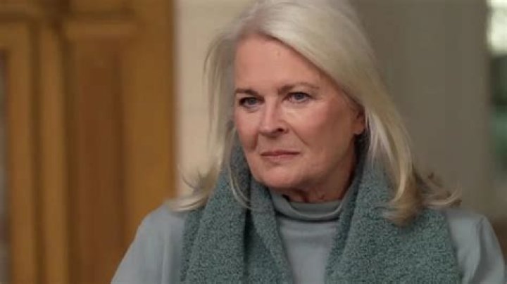 Candice Bergen Net Worth, Income, Salary, Earnings, Biography, How much money make?