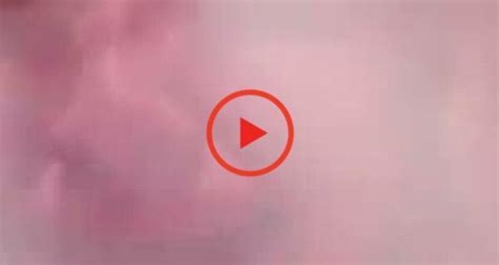 Lalo Gone Brazy Leaked Twitter Reddit: Watch Video Exposed ·