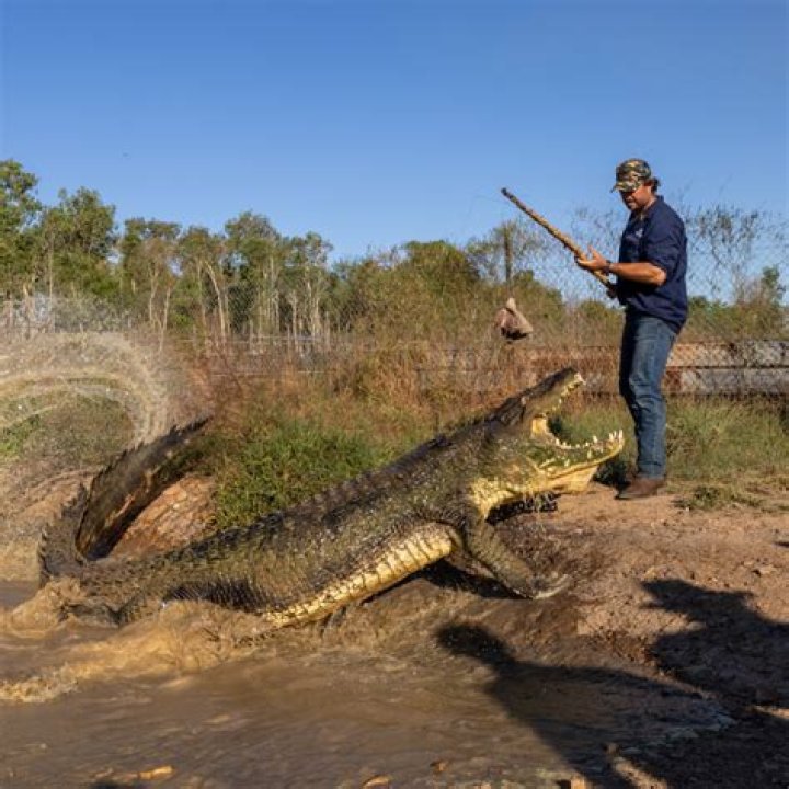 Matt Wright Crocodile Hunter Net Worth And Helicopter Crash Details