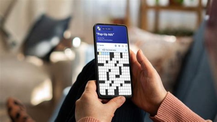 Minis and A-lines, for two Crossword Clue
