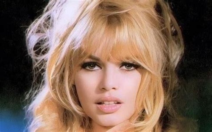 Pamela Bardot's Net Worth Decoded
