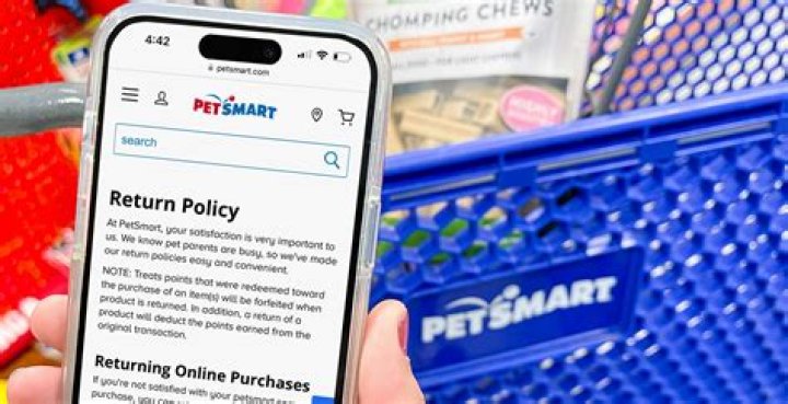 PetSmart Fish Return Policy (2023 Guide)