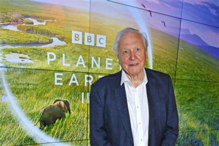 Unveiling David Attenborough's Net Worth: Discoveries And Insights