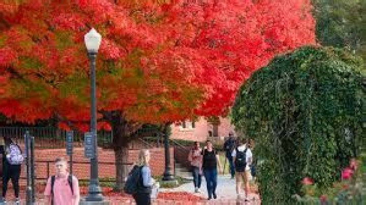 Unveiling The Visionary Art And Impact Of Sophia Alexandra Spears